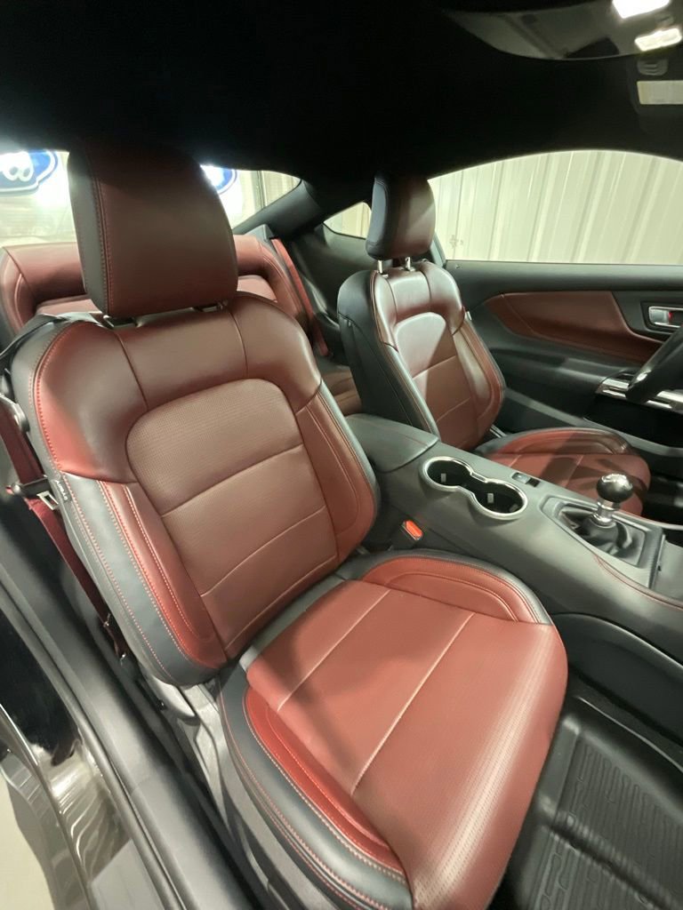 Used 2025 Ford Mustang GT Premium image 13