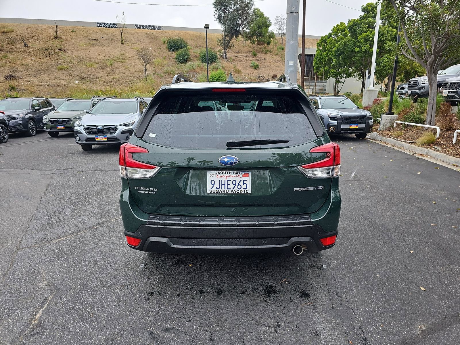 Certified 2023 Subaru Forester Limited image 13