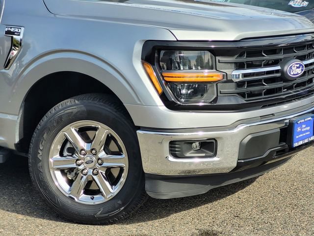 Certified 2025 Ford F150 XLT w/ Equipment Group 301A Standard image 6