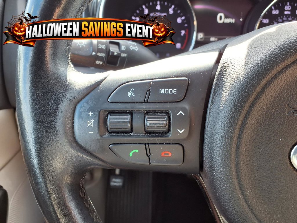 Used 2016 Kia Sedona SX FWD image 19