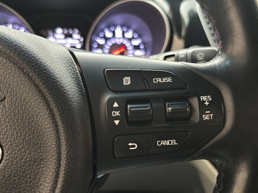 Used 2015 Kia Sedona EX FWD image 29