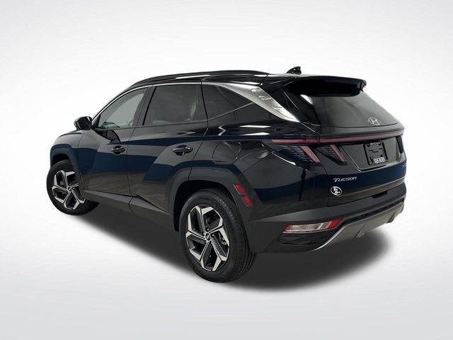 Used 2024 Hyundai Tucson Limited image 3
