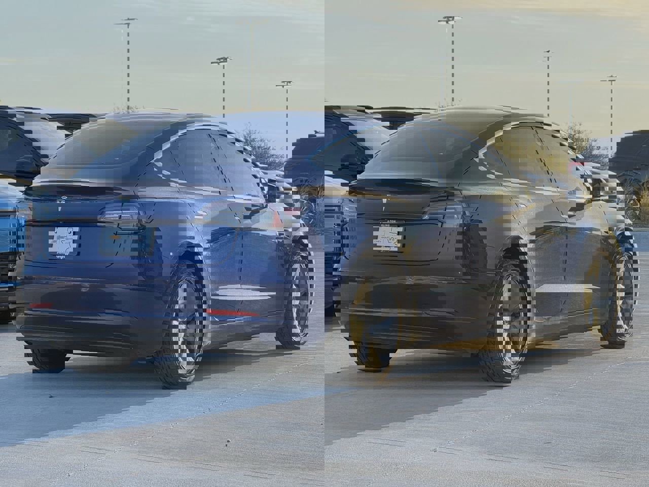 Used 2019 Tesla Model 3 Standard Range image 4