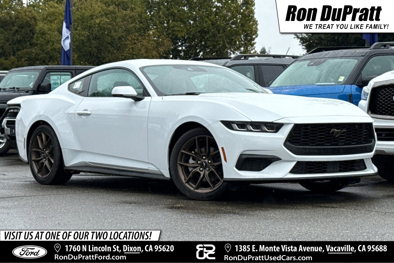 Used 2024 Ford Mustang Premium