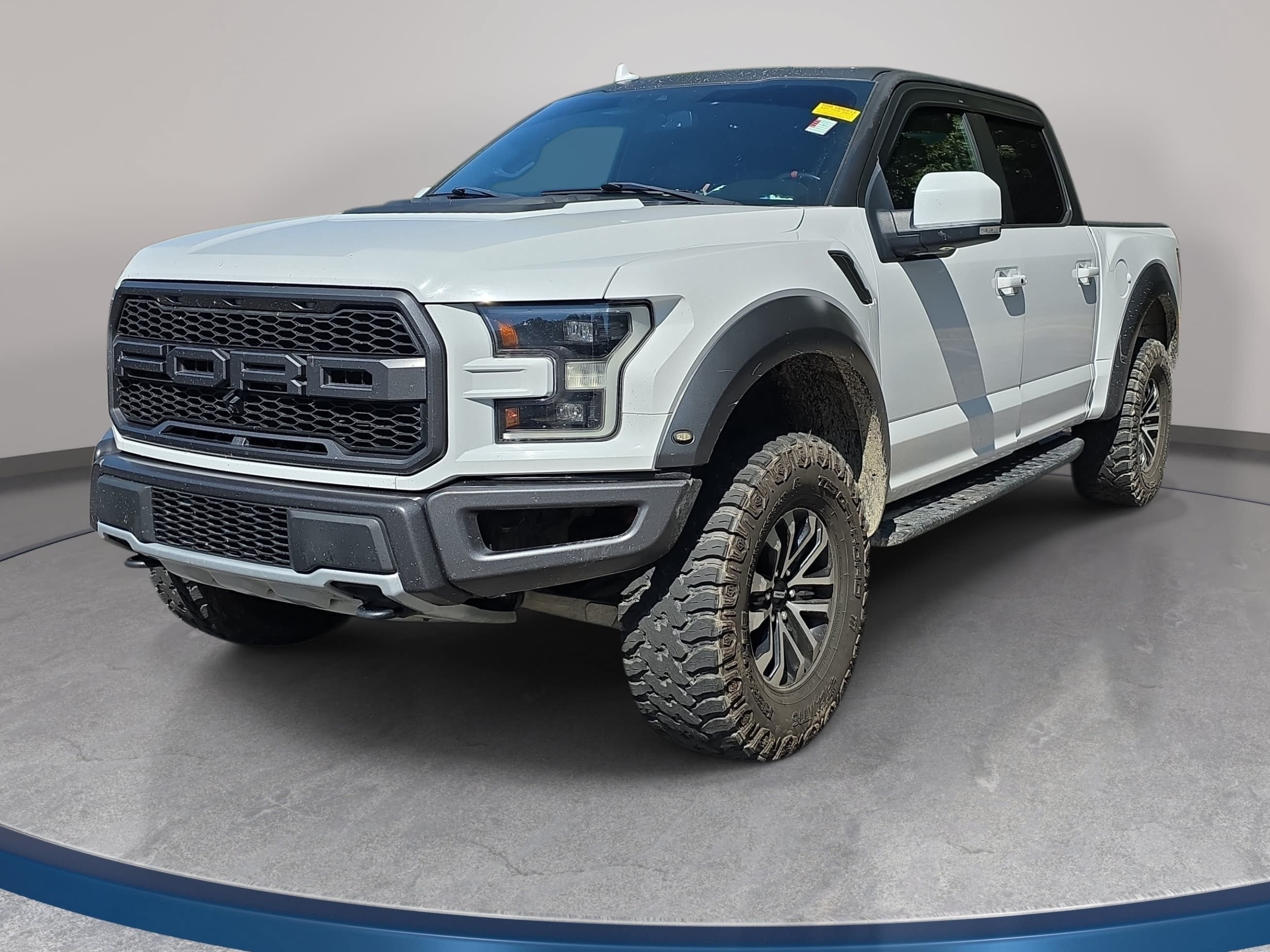 Used 2019 Ford F150 Raptor w/ Equipment Group 802A Luxury AWD/4WD image 1