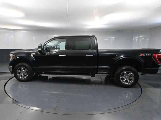 Used 2023 Ford F150 XLT w/ Equipment Group 302A High AWD/4WD image 7