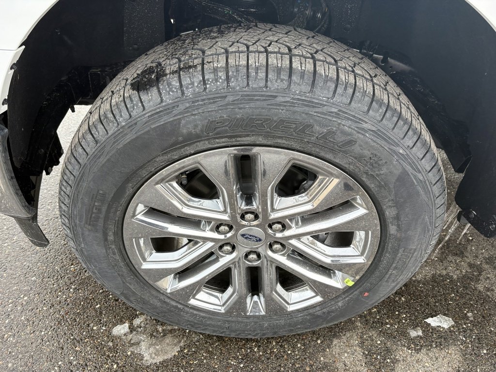 New 2026 Ford F150 XLT image 10