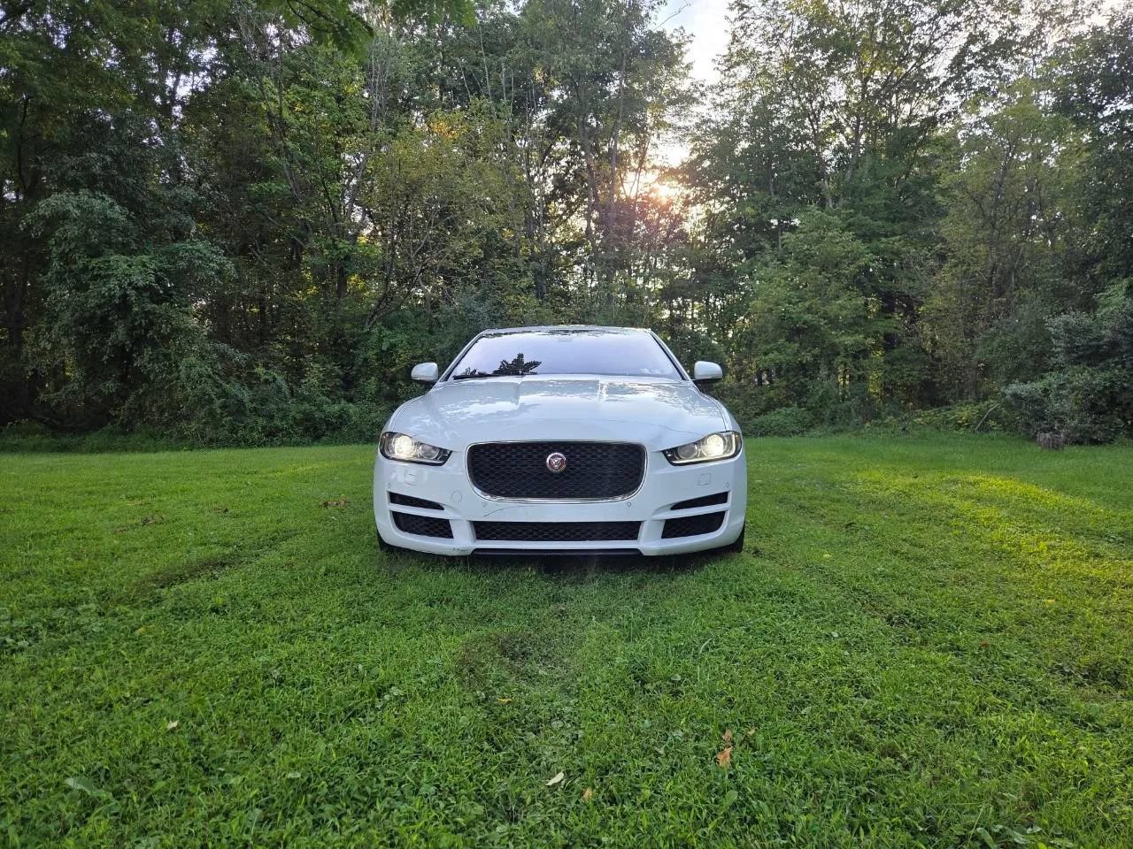 Used 2017 Jaguar XE Premium AWD/4WD image 6
