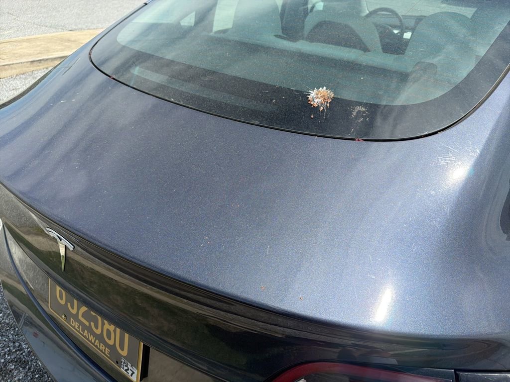 Used 2023 Tesla Model 3 Standard Range image 19