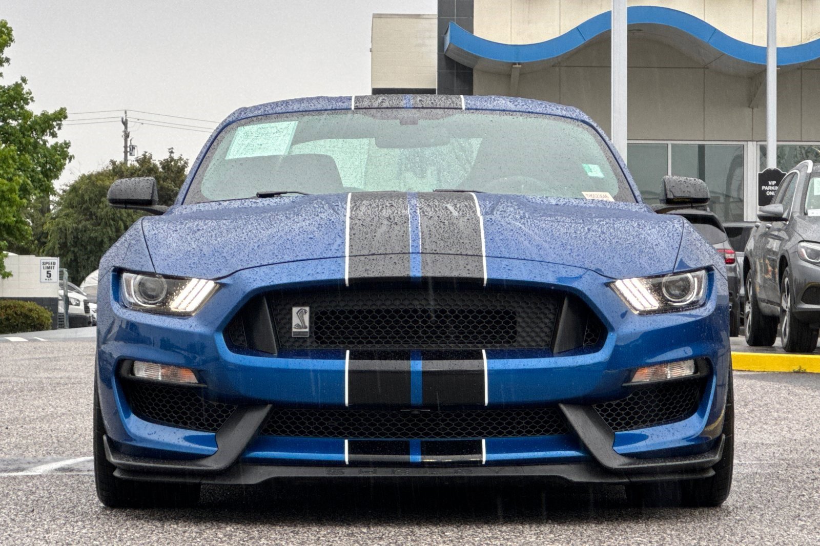 Used 2017 Ford Mustang Shelby GT350 image 5