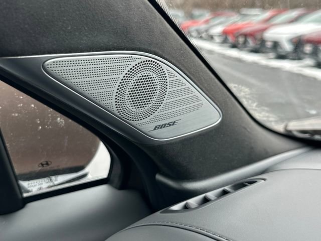 New 2026 Hyundai Palisade Calligraphy image 20