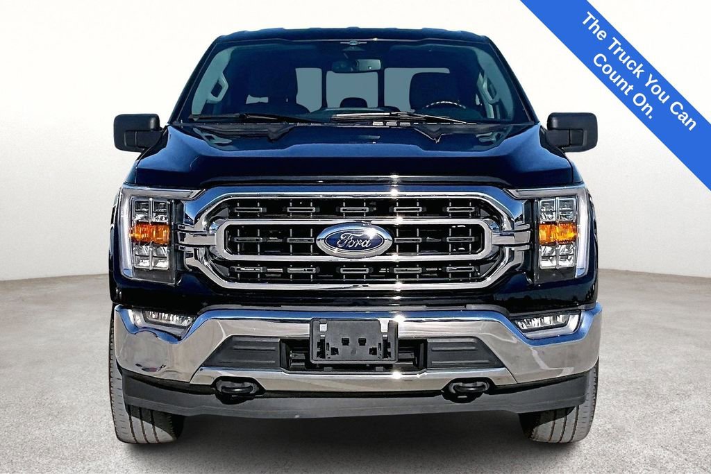 Used 2023 Ford F150 XLT w/ Equipment Group 302A High image 5