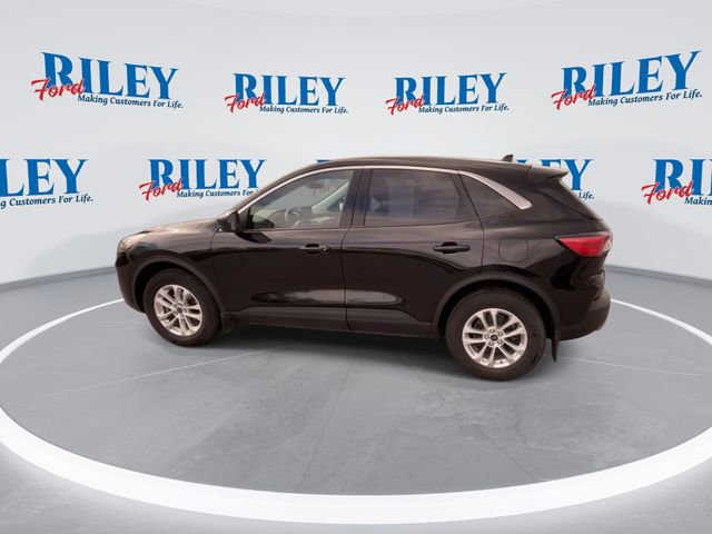 Used 2022 Ford Escape SE w/ Cold Weather Package AWD/4WD image 6