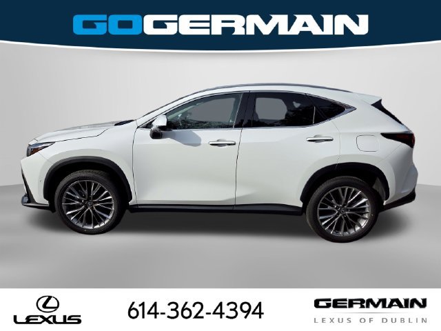 Certified 2026 Lexus NX 350 AWD w/ Cold Area Package image 10