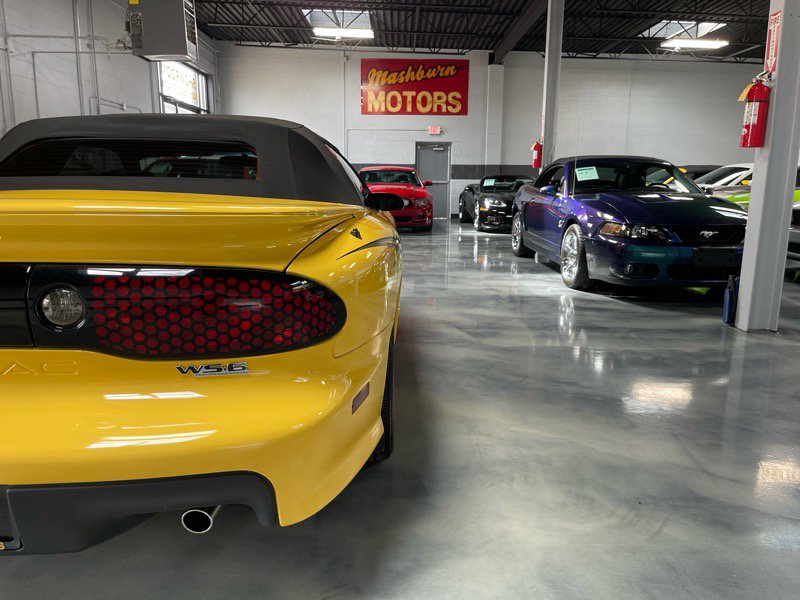 Used 2002 Pontiac Firebird Trans Am image 12