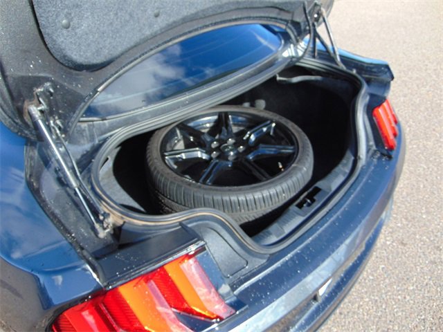 Used 2019 Ford Mustang GT w/ Equipment Group 301A image 23