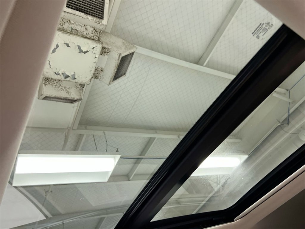 Used 2019 Nissan Rogue SL w/ Premium Package image 19