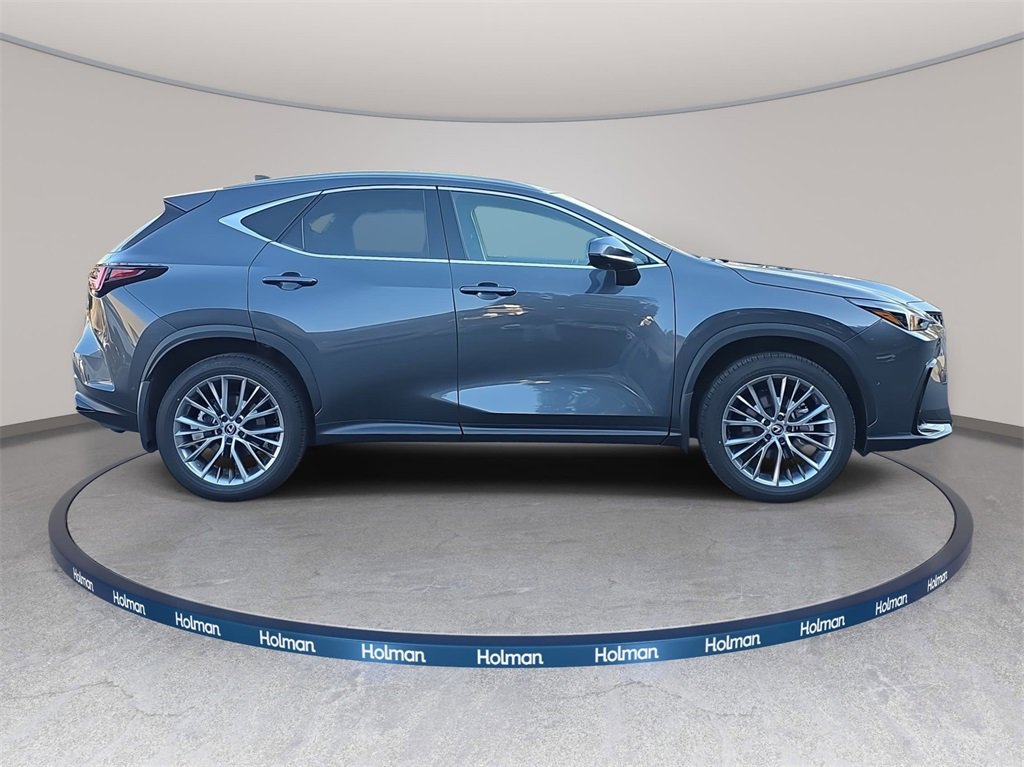 Used 2025 Lexus NX 350h AWD w/ Rear Seat Package image 4