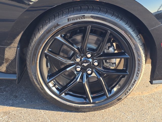 Used 2024 Ford Mustang Coupe RWD image 14