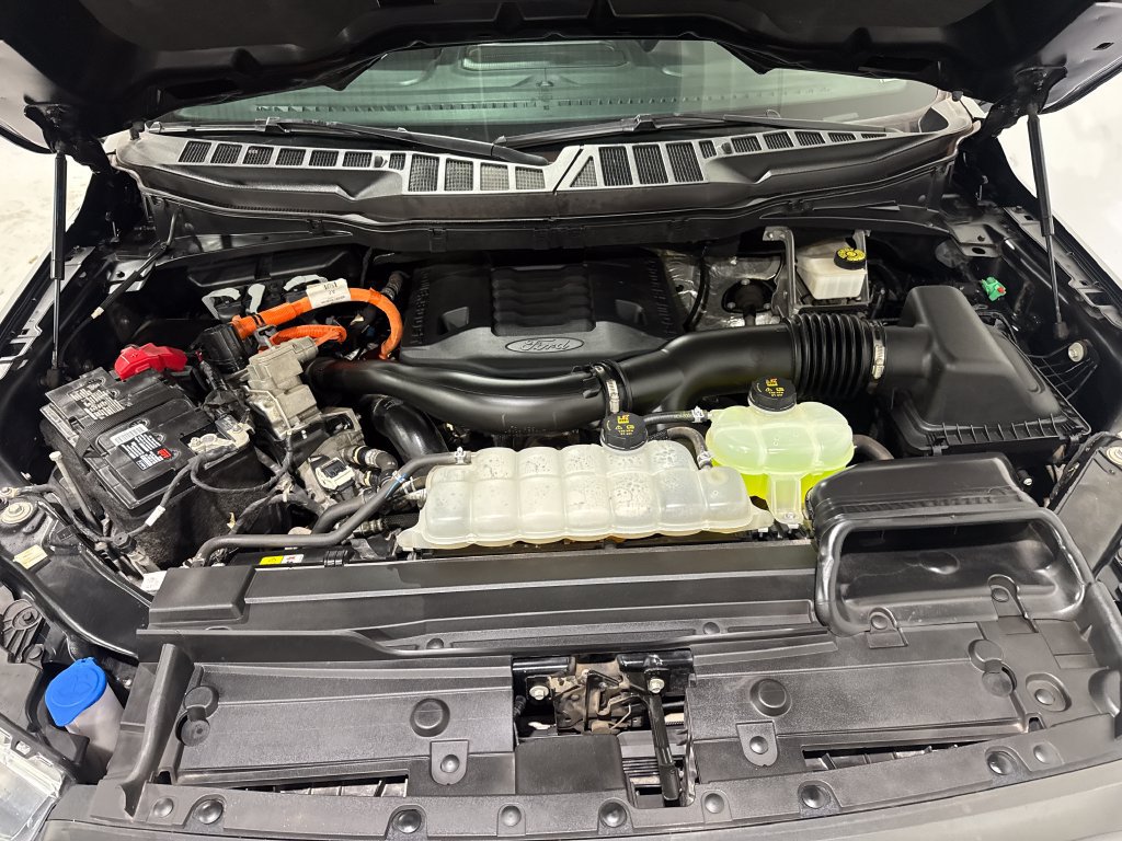 Used 2022 Ford F150 XLT w/ Equipment Group 302A High AWD/4WD image 12