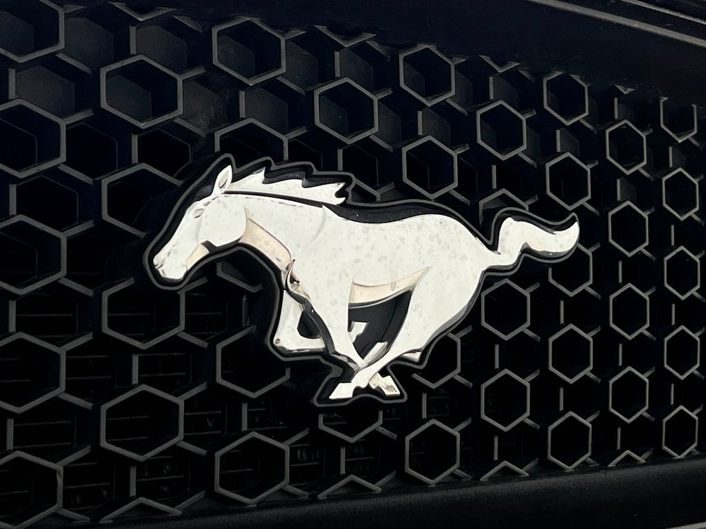Used 2016 Ford Mustang GT Premium w/ Equipment Group 401A RWD image 39