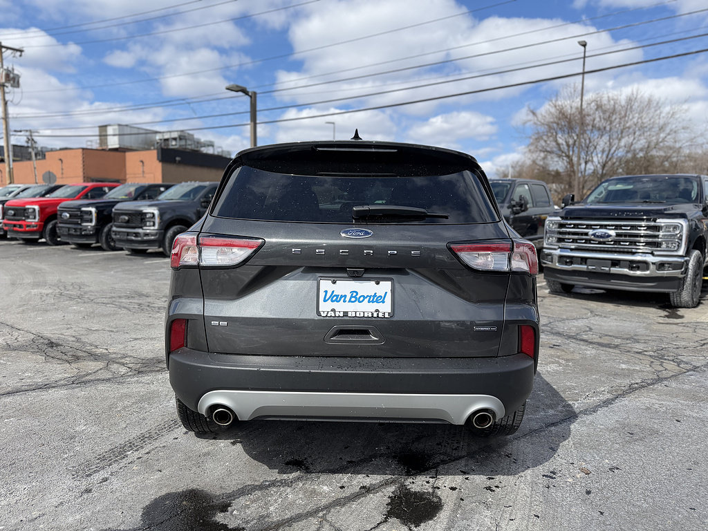 Used 2020 Ford Escape SE Sport AWD/4WD image 6