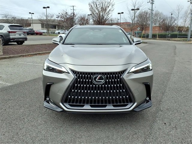 Used 2025 Lexus NX 350 AWD w/ Premium Package image 8
