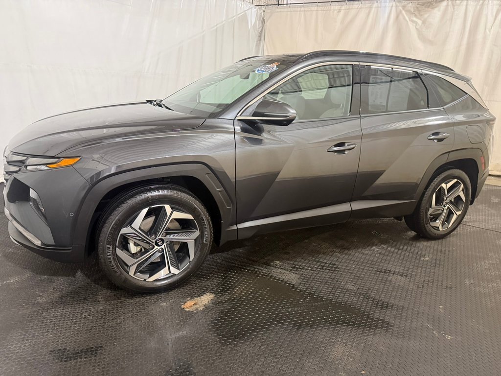 Used 2023 Hyundai Tucson Limited image 2