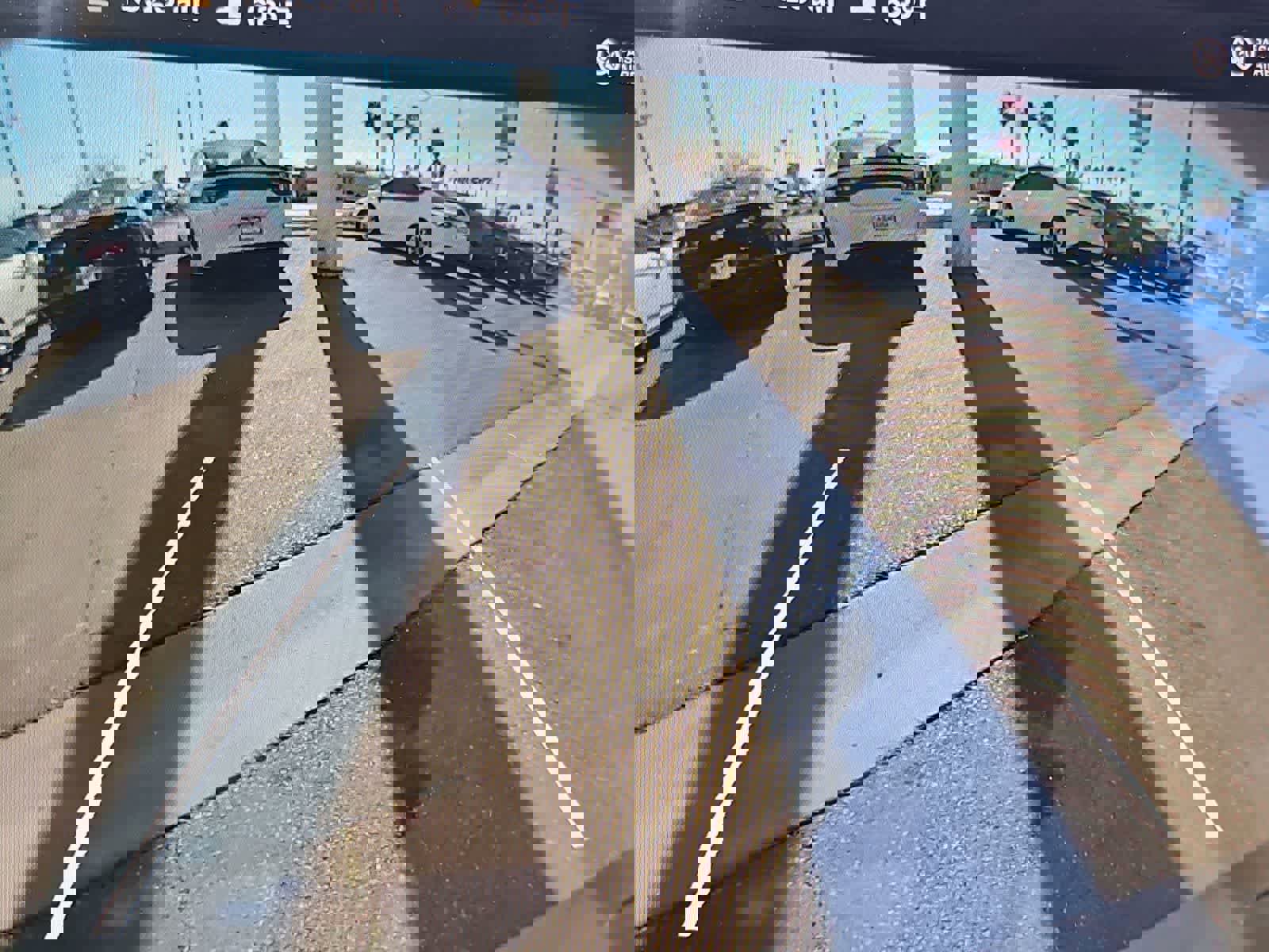 Used 2020 Tesla Model Y Long Range image 28