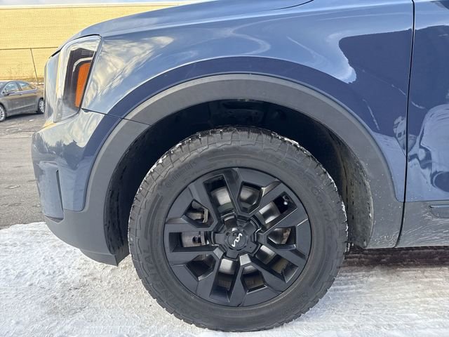 Used 2024 Kia Telluride SX Prestige X-Pro image 19