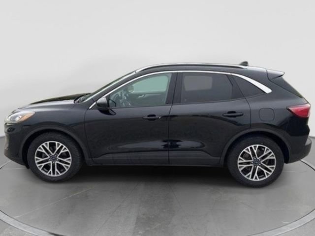 Used 2020 Ford Escape SEL image 2