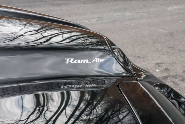 Used 2001 Pontiac Firebird Trans Am image 65