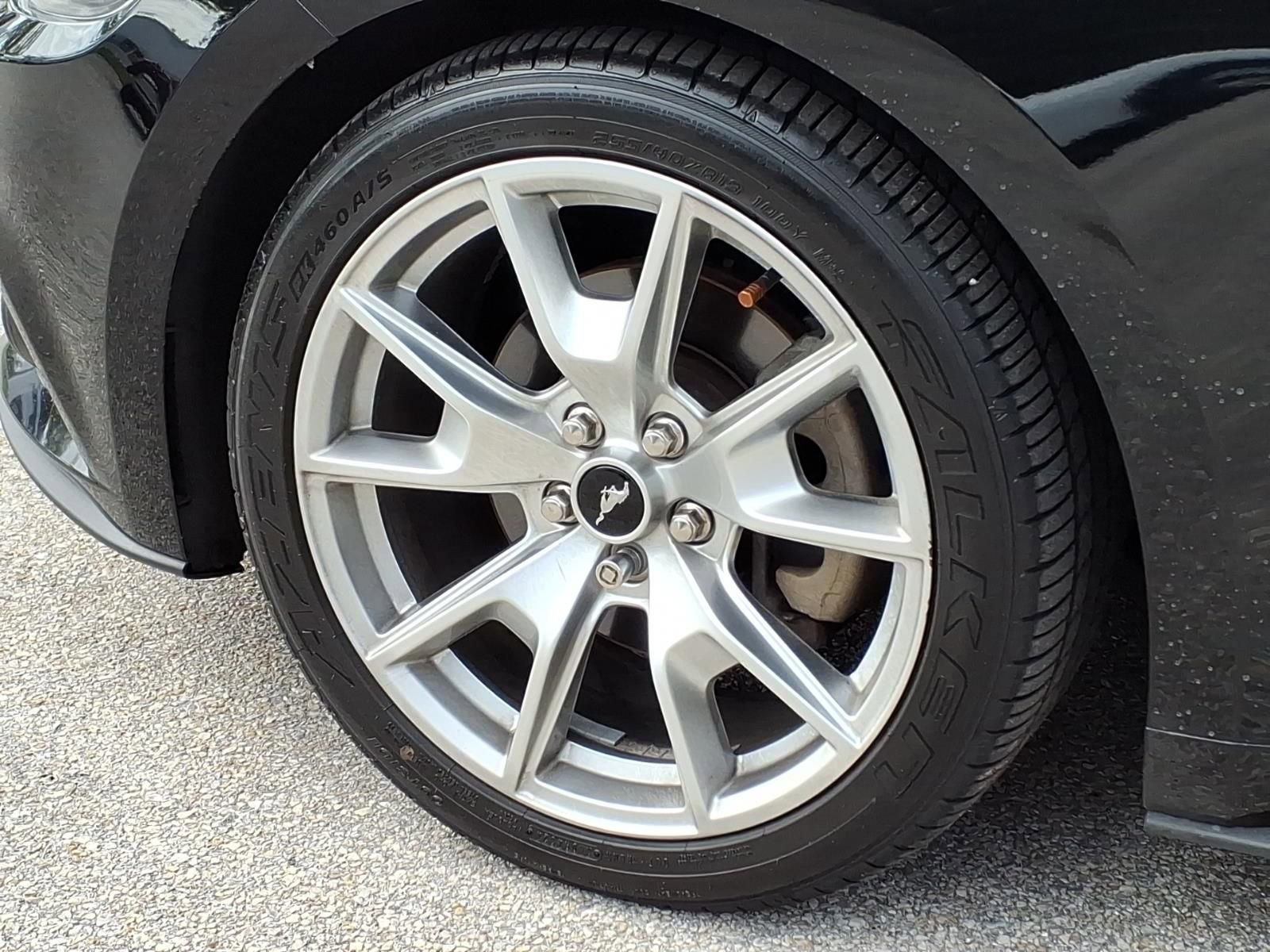 Used 2015 Ford Mustang Premium w/ 50 Years Appearance Package RWD image 6