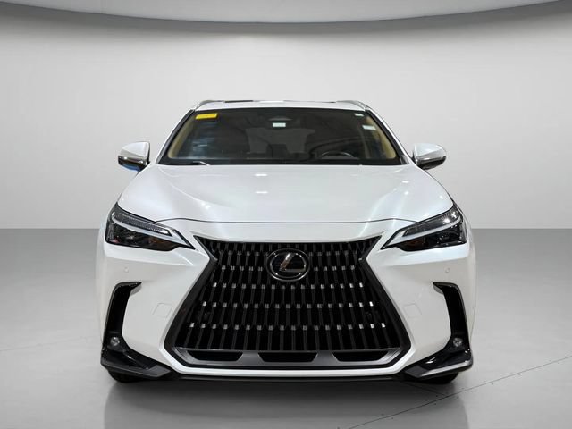 Certified 2024 Lexus NX 350 AWD image 8