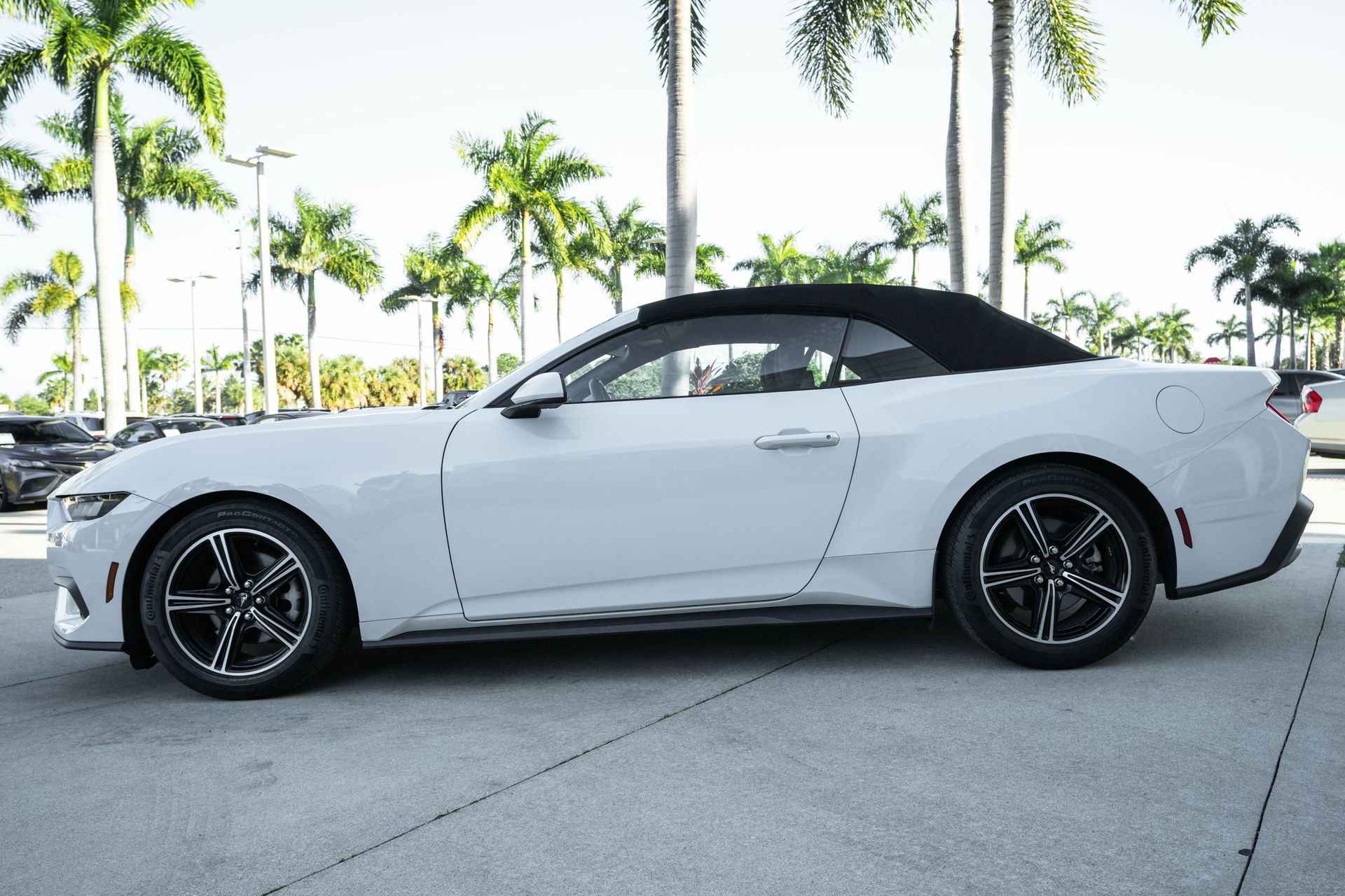 Used 2024 Ford Mustang Convertible image 6