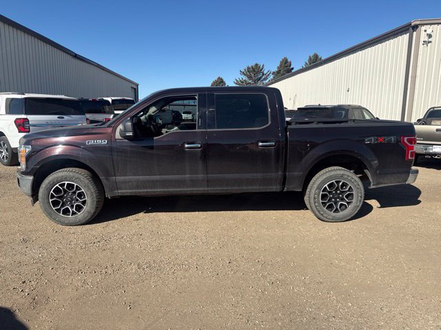 Used 2019 Ford F150 XLT w/ Equipment Group 302A Luxury AWD/4WD image 7