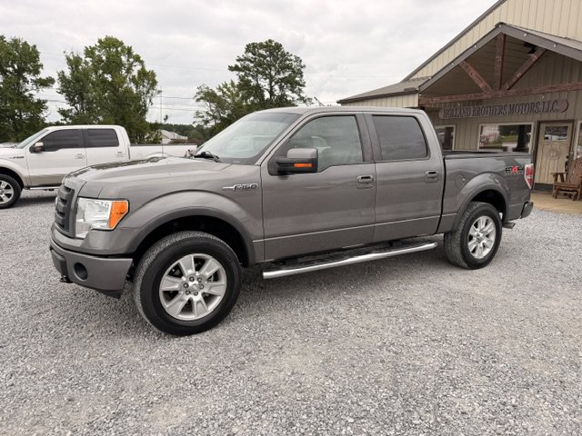Used 2010 Ford F150 FX4 AWD/4WD image 1