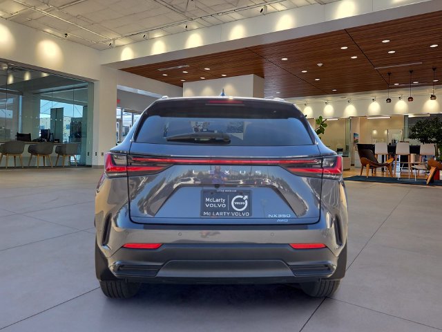 Used 2025 Lexus NX 350 AWD w/ Premium Package image 4