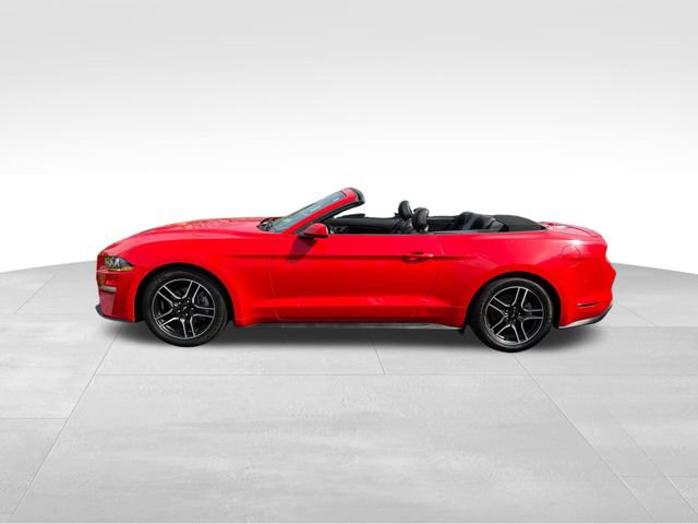 Used 2023 Ford Mustang Premium image 11