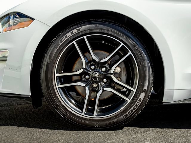 Used 2019 Ford Mustang Premium RWD image 13