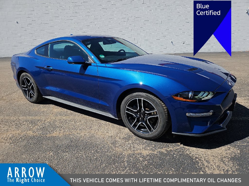 Certified 2023 Ford Mustang Coupe w/ Equipment Group 101A RWD image 1