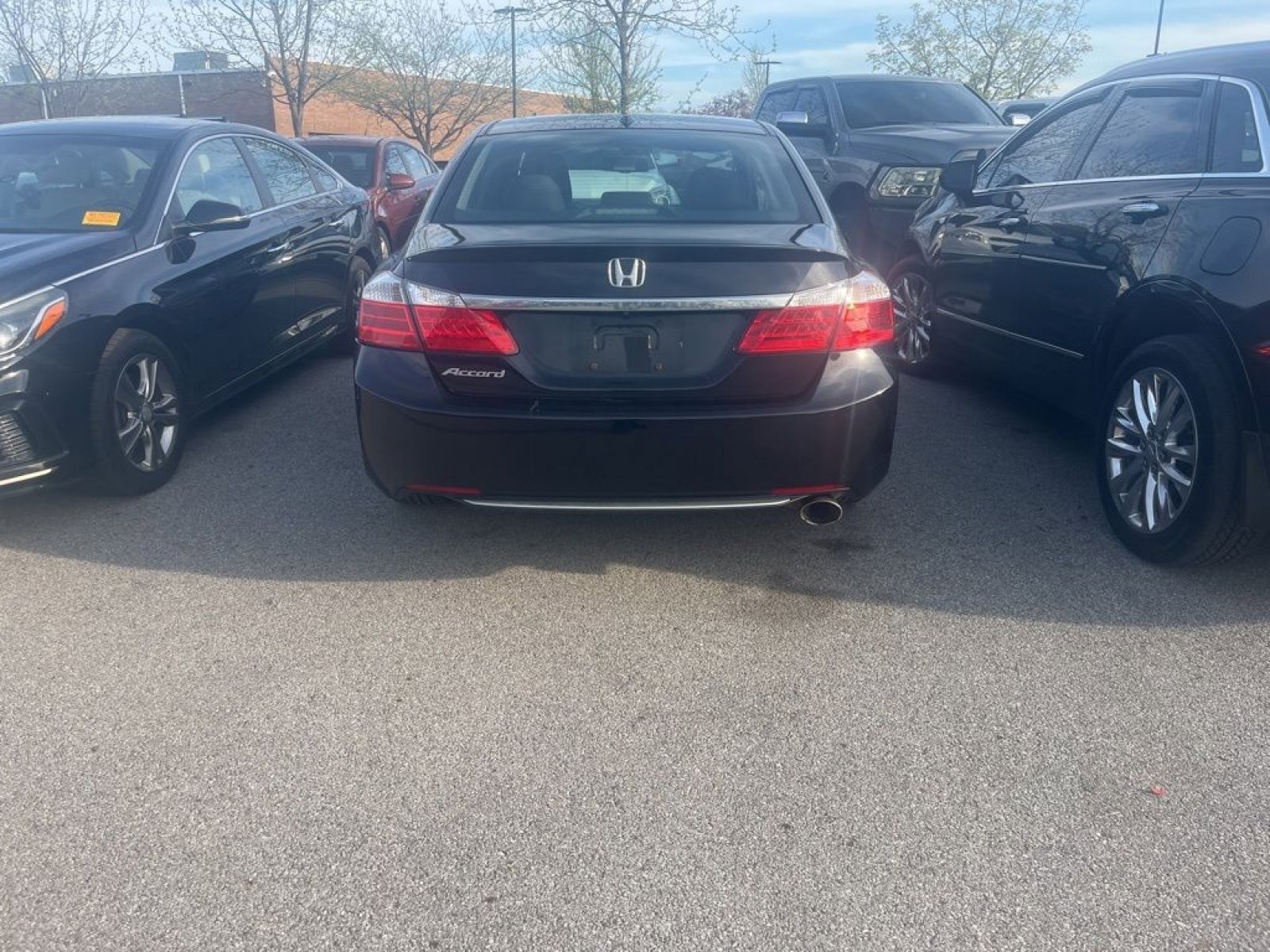 Used 2014 Honda Accord EX-L image 8