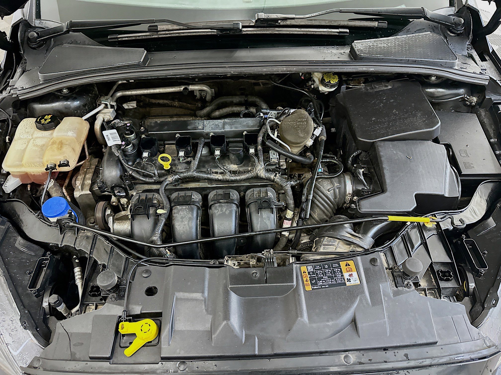 Used 2015 Ford Focus SE w/ SE Sport Package FWD image 33