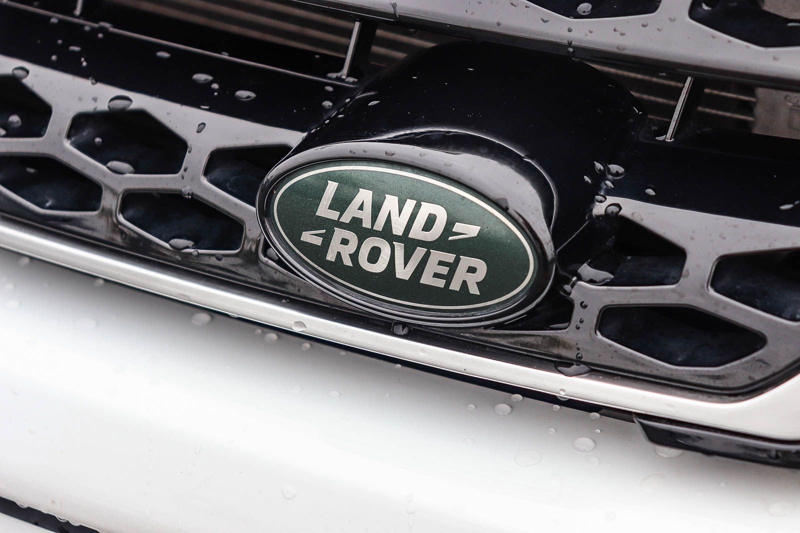 Used 2019 Land Rover Range Rover Evoque SE AWD/4WD image 11