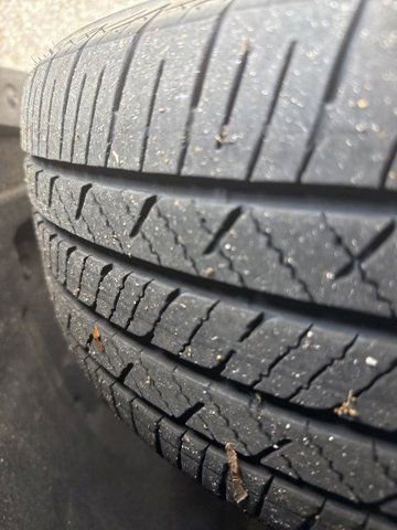 Used 2024 Toyota Sienna XLE Woodland Edition image 7