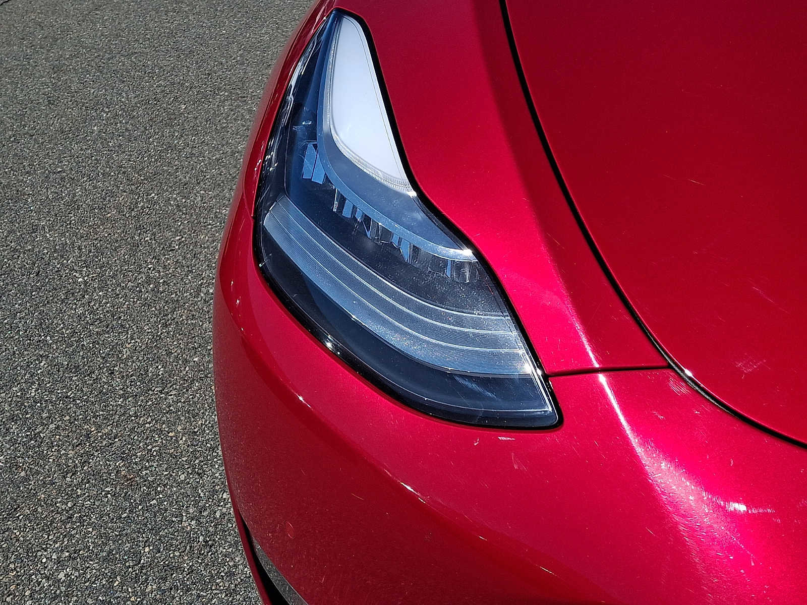 Used 2021 Tesla Model Y Long Range image 10