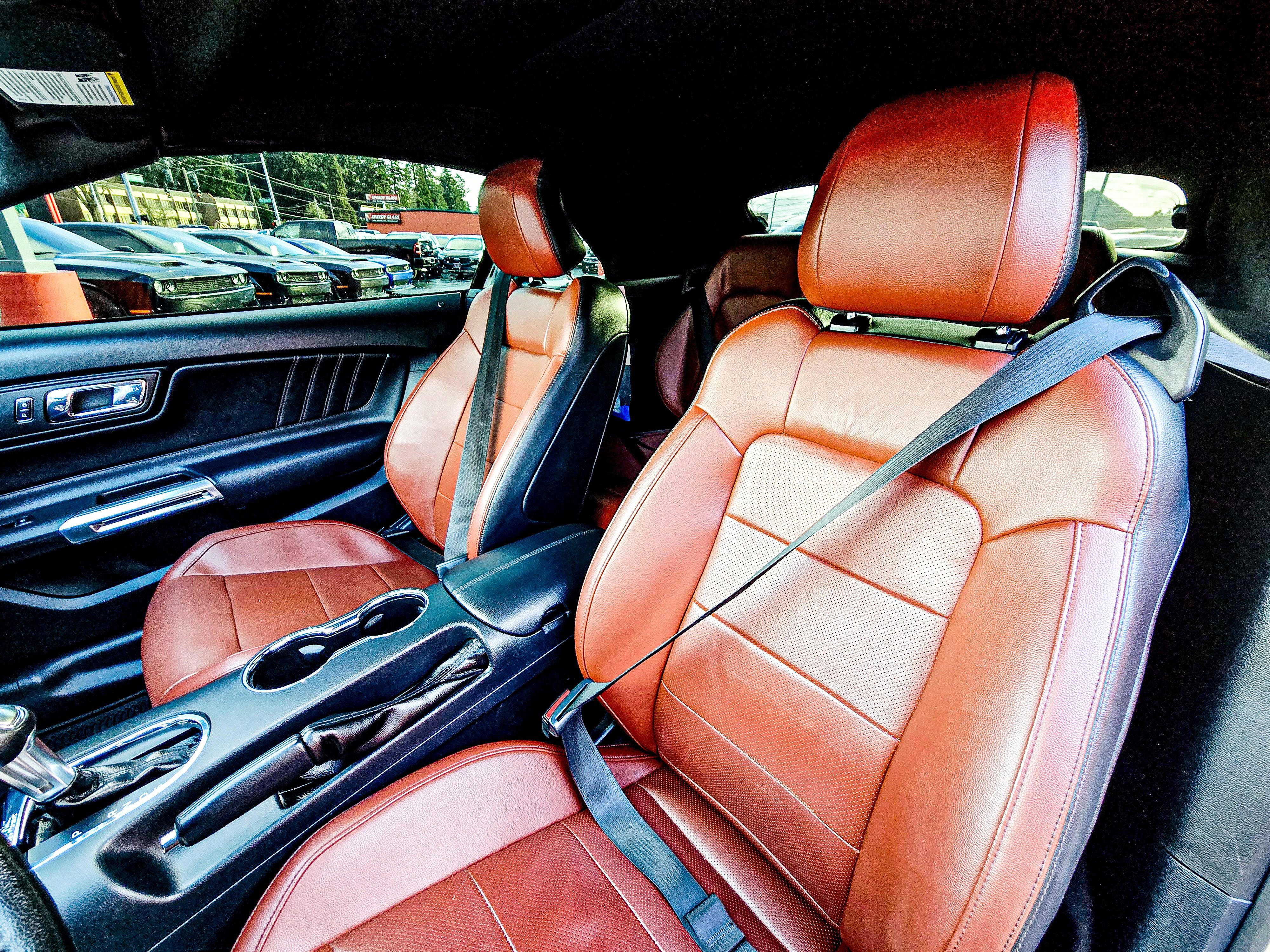 Used 2015 Ford Mustang GT Premium w/ Equipment Group 401A image 10