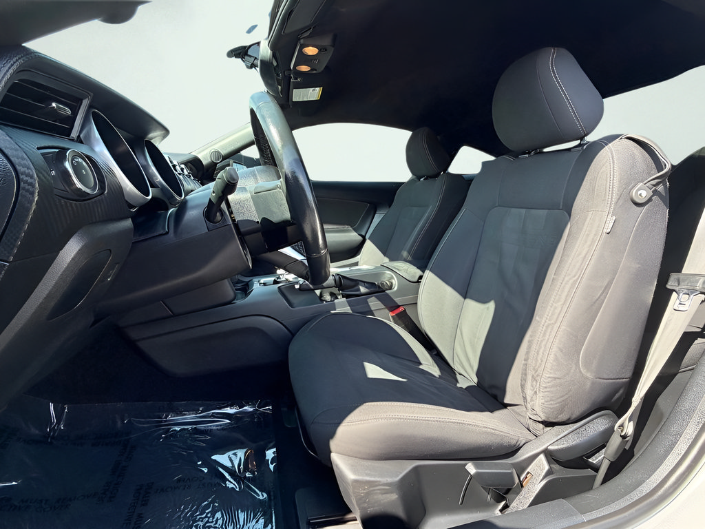 Used 2019 Ford Mustang Coupe RWD image 17