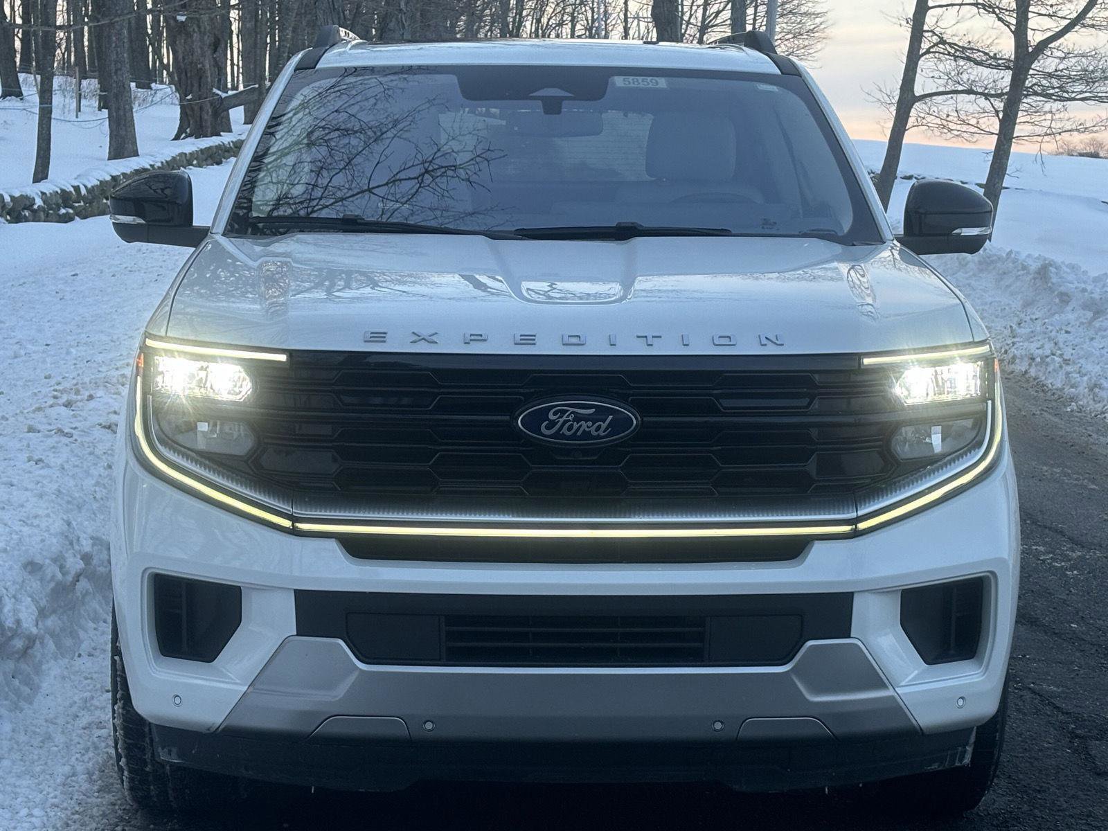 Used 2025 Ford Expedition Platinum image 13