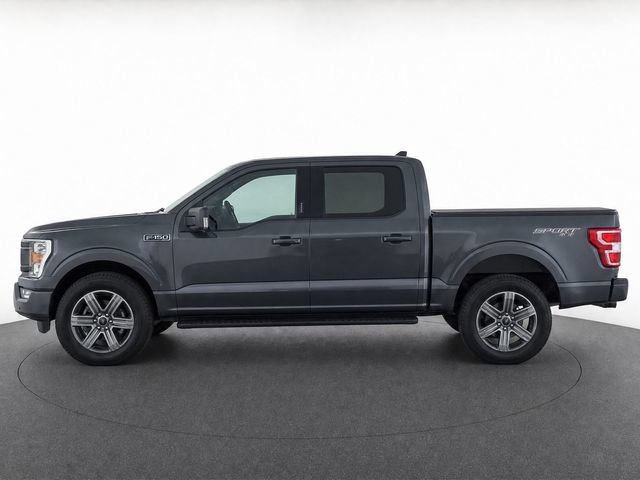 Used 2019 Ford F150 XLT w/ Equipment Group 302A Luxury AWD/4WD image 5